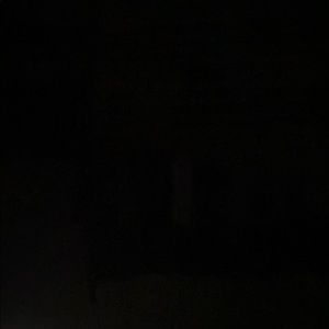 Meet your Posher, Elora